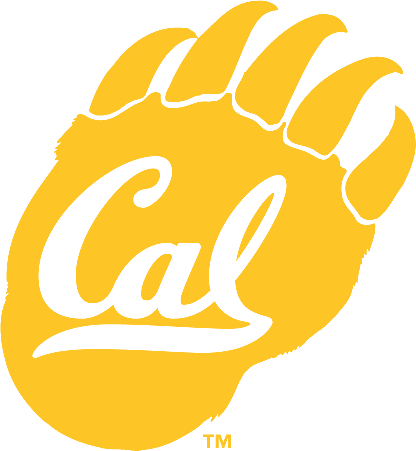 California Golden Bears 1982-2013 Secondary Logo v4 diy iron on heat transfer